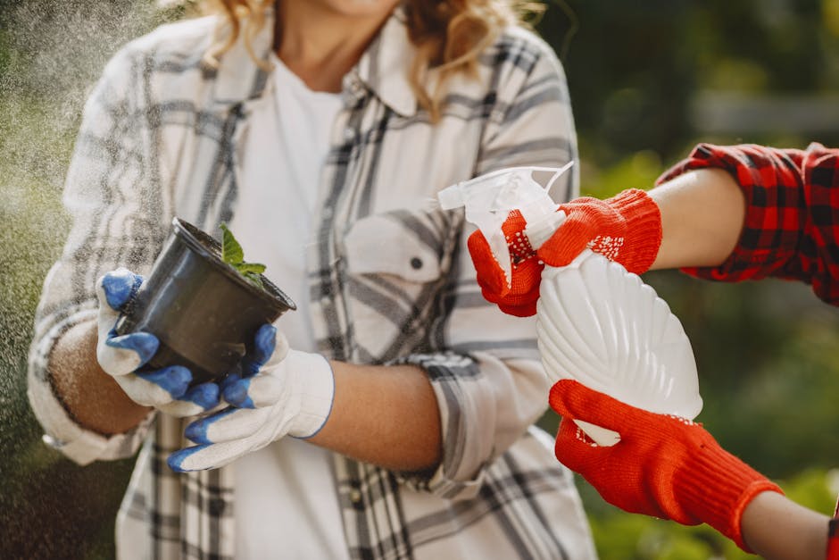 A gardener wearing a plaid shirt and white gardening gloves is planting a small green plant into a black plastic pot, with soil visible at the top. Another person, dressed in a red plaid shirt and also wearing red gloves, is handing over a scallop-shaped, decorative white garden ornament made of ceramic or resin. The background features a lush garden scene with green foliage, a pathway, and trees, illuminated by natural daylight. The scene reflects outdoor garden maintenance and landscaping work, with a focus on planting and decorative garden improvements, as highlighted by Gardeners Croydon in their tips for East Croydon residents.