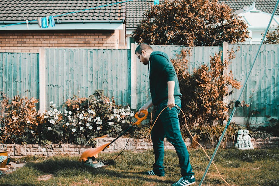 A gardener wearing a plaid shirt and white gardening gloves is planting a small green plant into a black plastic pot, with soil visible at the top. Another person, dressed in a red plaid shirt and also wearing red gloves, is handing over a scallop-shaped, decorative white garden ornament made of ceramic or resin. The background features a lush garden scene with green foliage, a pathway, and trees, illuminated by natural daylight. The scene reflects outdoor garden maintenance and landscaping work, with a focus on planting and decorative garden improvements, as highlighted by Gardeners Croydon in their tips for East Croydon residents.
